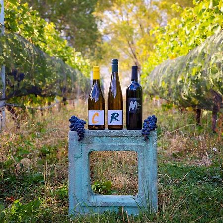 Crowsnest Vineyards Guesthouse Keremeos Kültér fotó