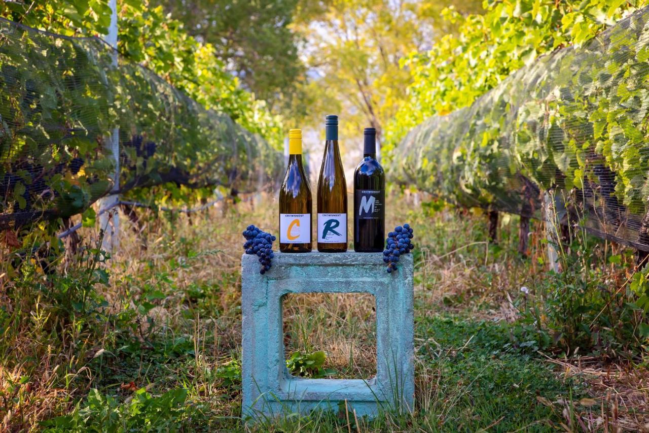 Crowsnest Vineyards Guesthouse Keremeos Kültér fotó