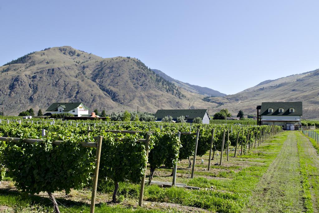 Crowsnest Vineyards Guesthouse Keremeos Kültér fotó