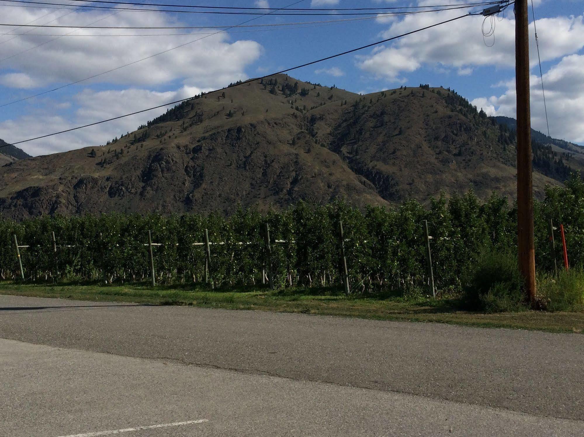 Crowsnest Vineyards Guesthouse Keremeos Kültér fotó